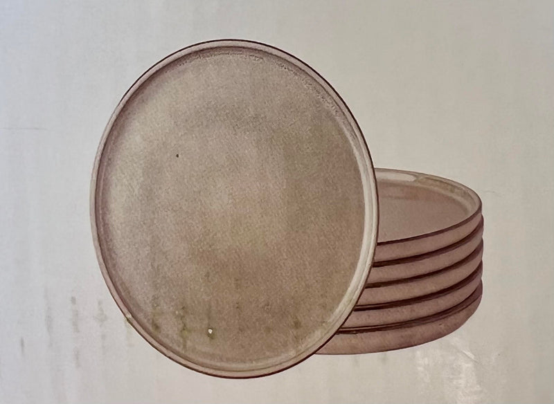 AmorArc Ceramic Plates Reactive Glaze Stoneware Plates Set of 6