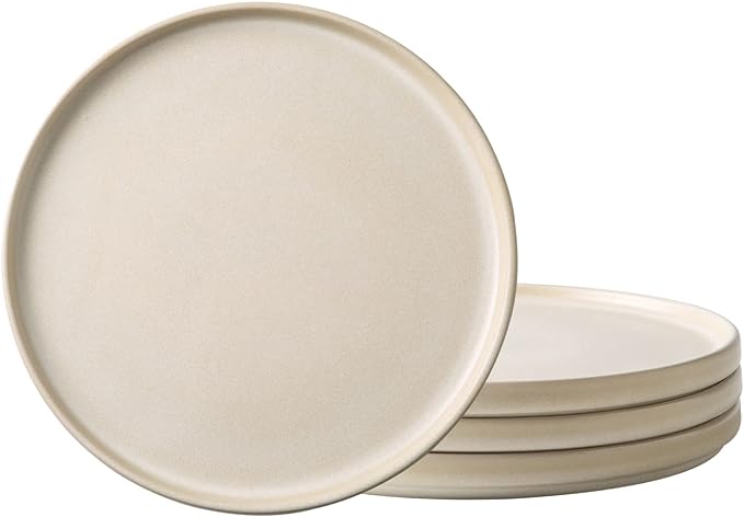 AmorArc Stoneware Dinner Plates Matte Glaze