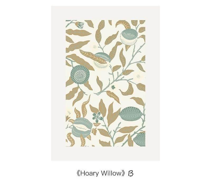 Hoary Willow Framed Art Print 20” x 14”