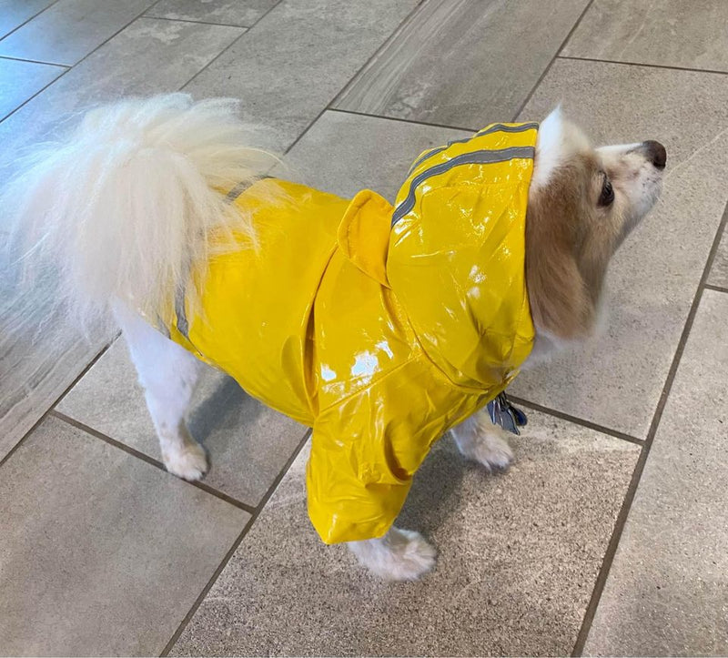 Dog Raincoat Hooded Poncho
