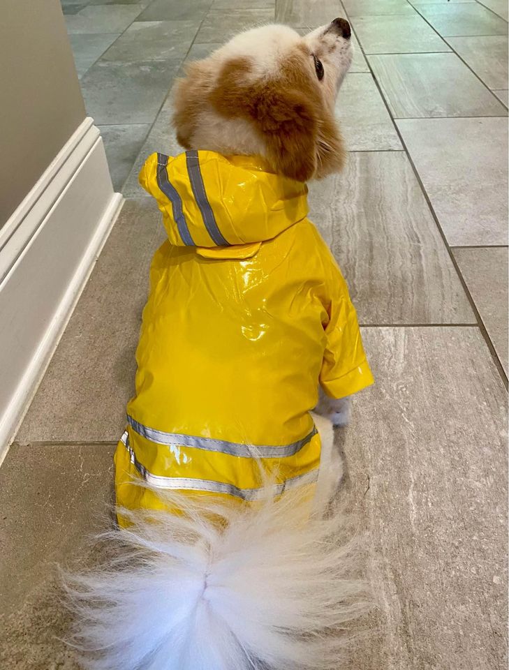 Dog Raincoat Hooded Poncho