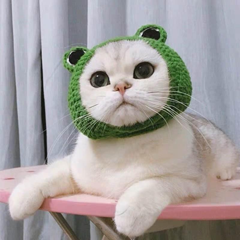 Hand-Crocheted Frog Hats for Cats or Dogs: Halloween Costumes